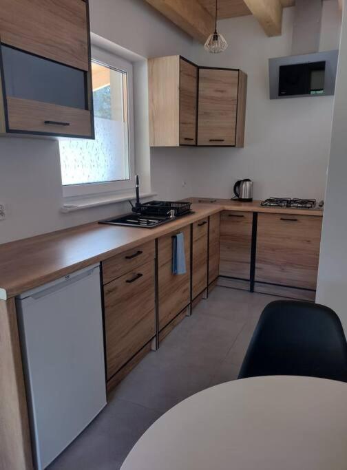 Apartamenty - Domek Bobrowe Zacisze 3 야노비체 비엘키에 외부 사진